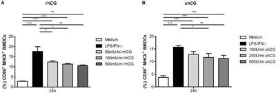 Immune Modulatory Effects of Human Chorionic Gonadotropin on Dendritic Cells Supporting Fetal Survival in Murine Pregnancy